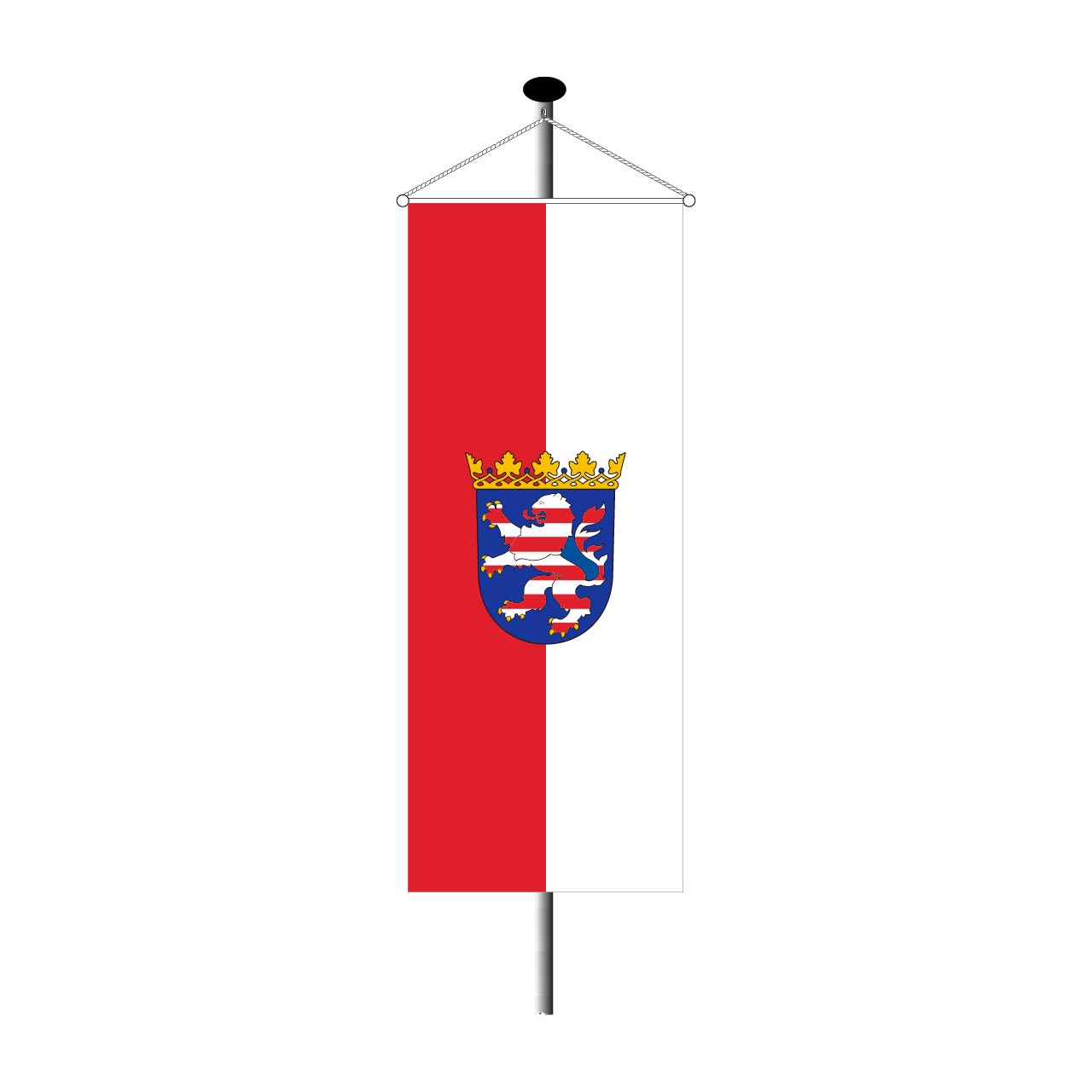 Bannerfahne Hessen