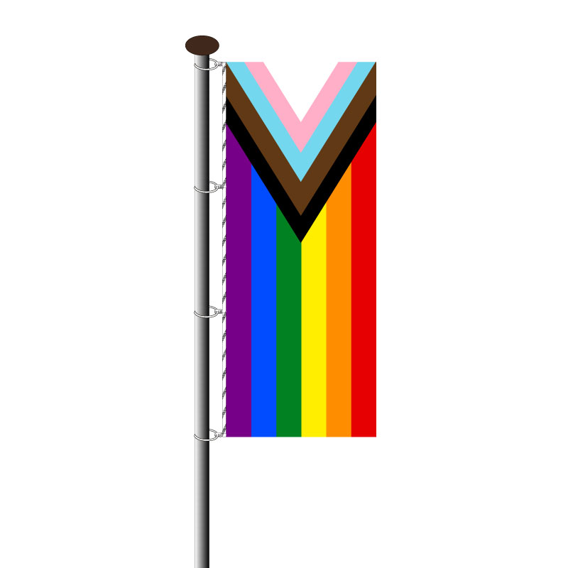 Progressive Pride Regenbogenfahne Hochformat