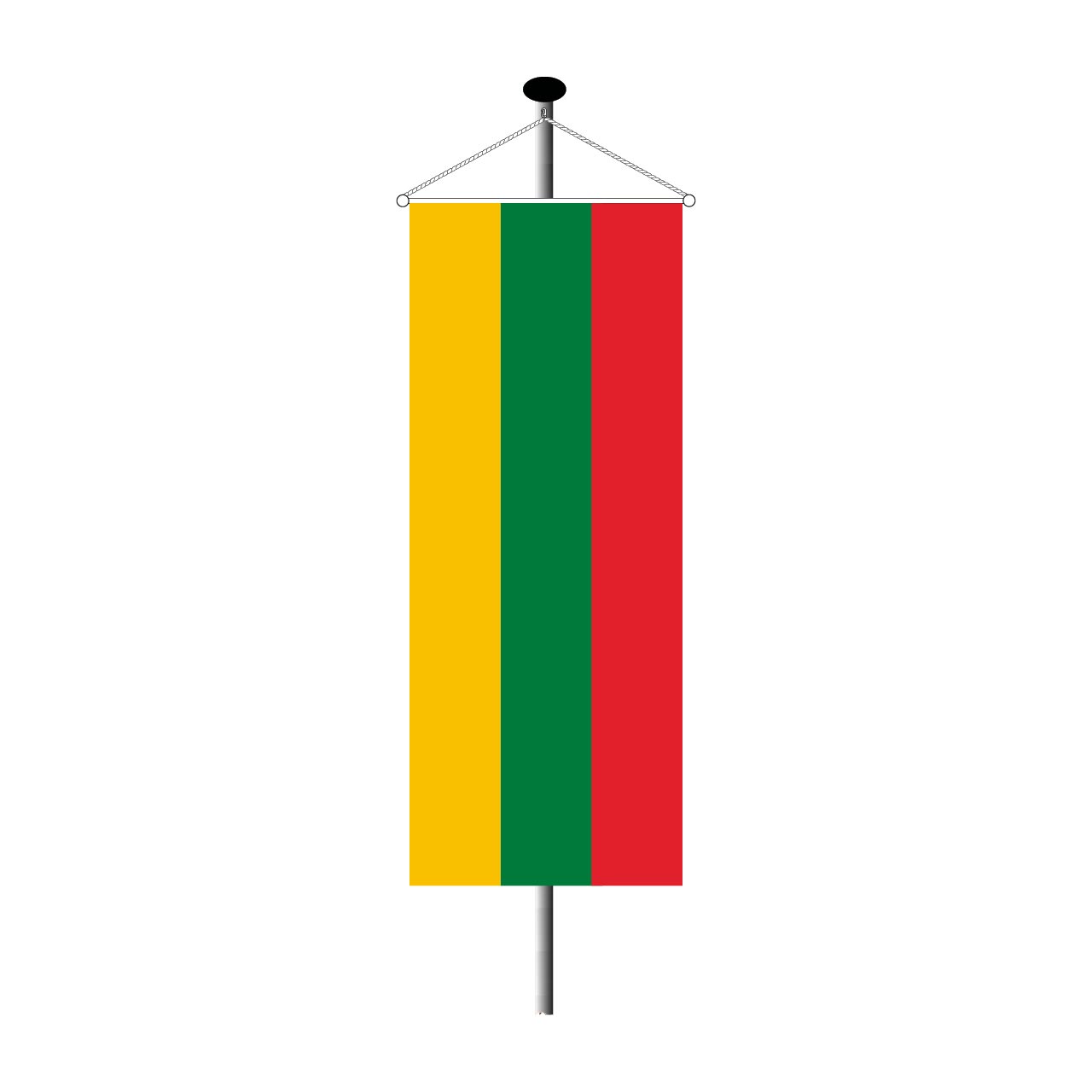 Bannerfahne Litauen